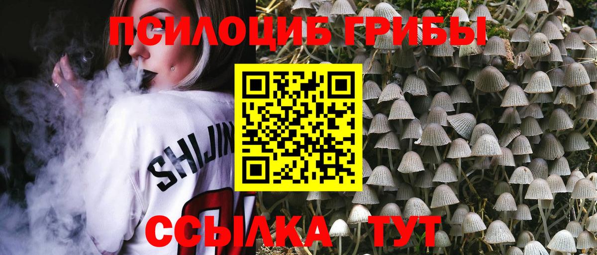 Псилоцибиновые грибы мухоморы Южноуральск